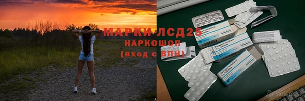 хмурый Арсеньев