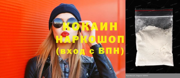 хмурый Арсеньев
