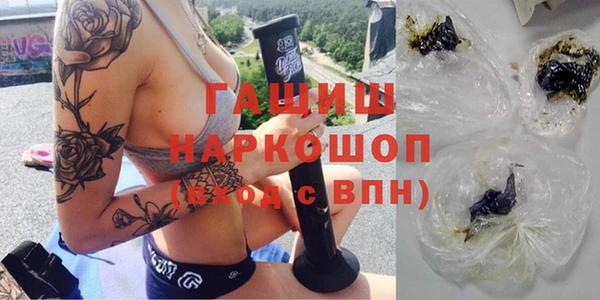 хмурый Арсеньев